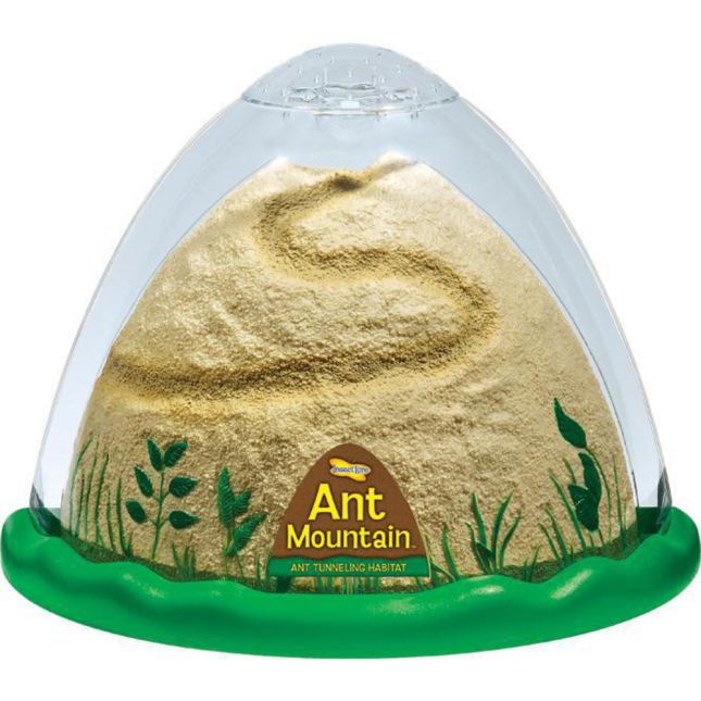 Ant Mountain - 1 multi-item kit