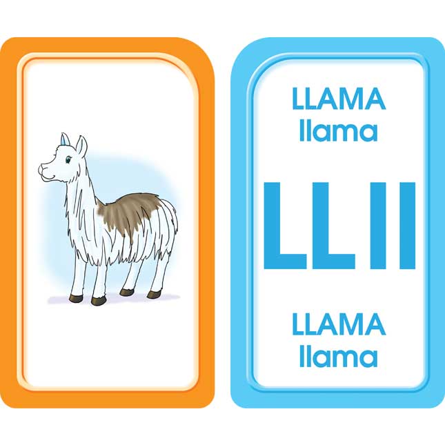 Bilingual Flash Cards Set