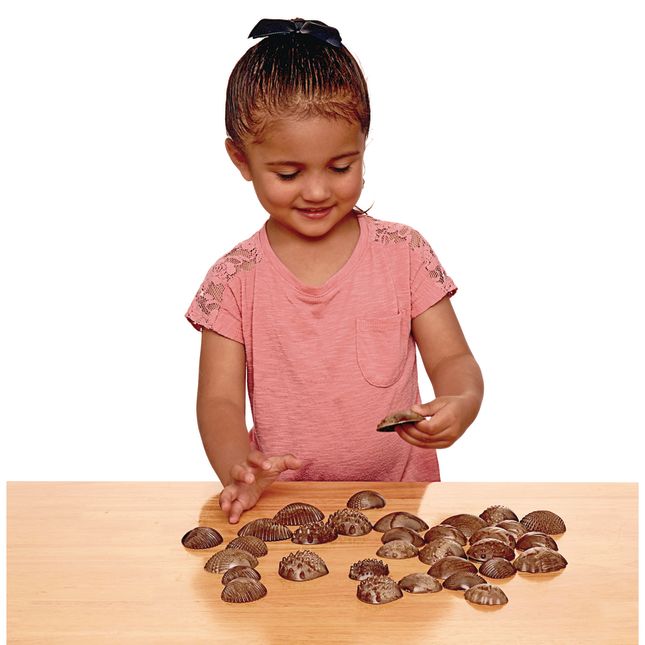 Tactile Shells for Sensory Exploration - 36 pcs