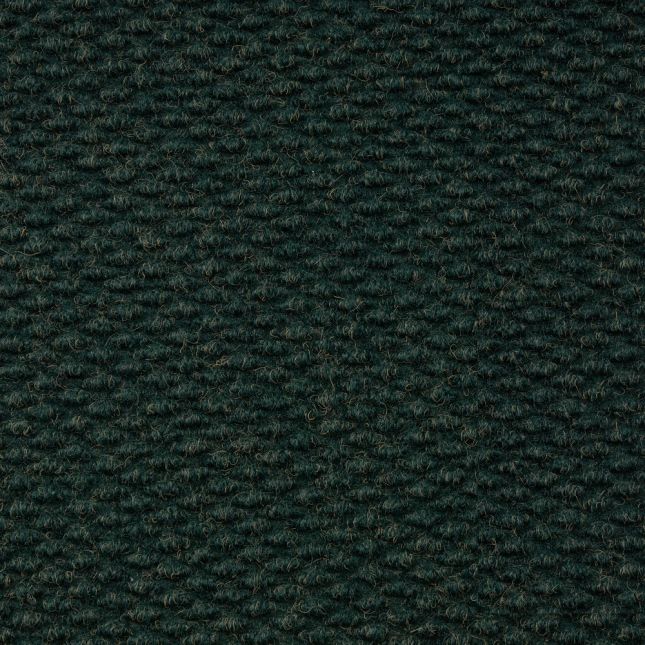 Environments® Dunes Indoor/Outdoor Carpet 6' x 9' - Coastal Pine