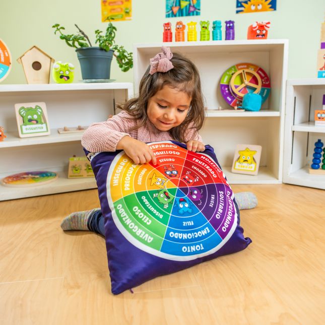 Emotions Wheel Pillow
