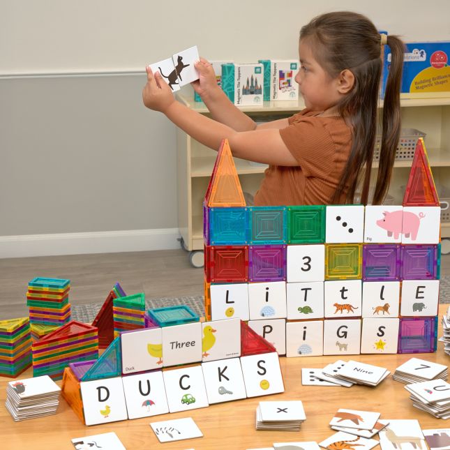 Magnetic Tiles, Letters, Numbers, and Animals Tile Toppers Kit - 260pcs