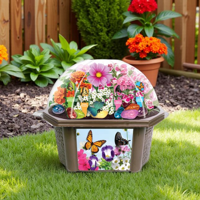 Bountiful Butterfly Garden