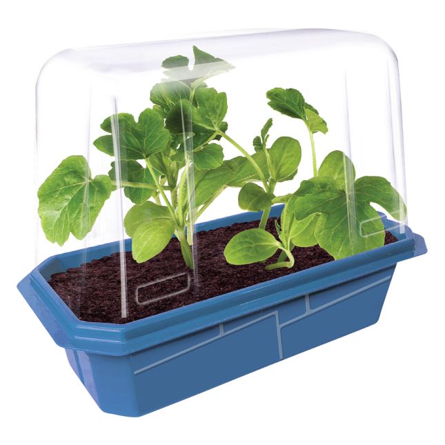 Garden Grow Kit - Greenhouse + 6 plants
