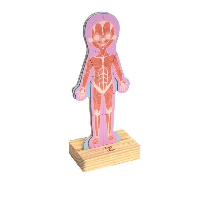 Human Body Magnetic Puzzle - 63pcs