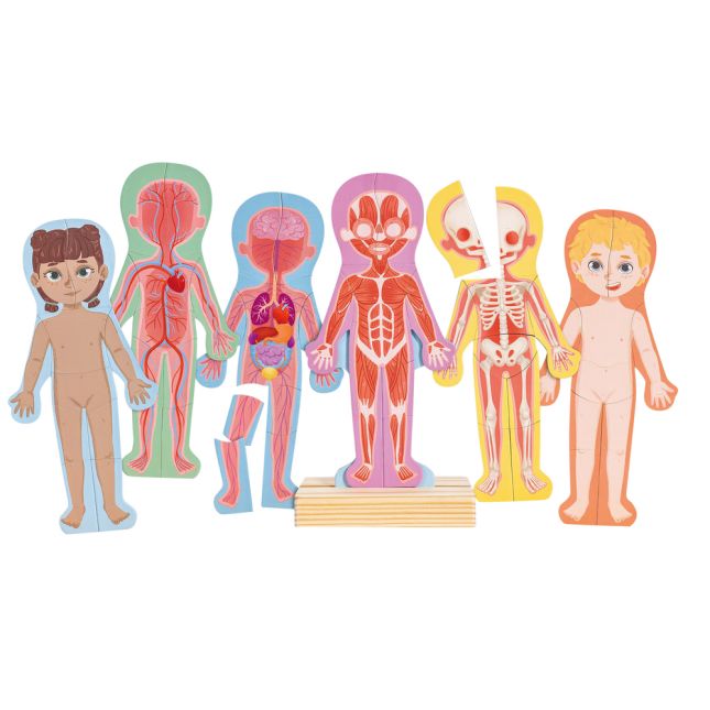 Human Body Magnetic Puzzle - 63pcs