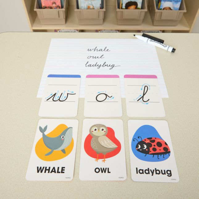 Literacy Flash Cards- Alphabet Printing and Cursive Practice - 3 deck set