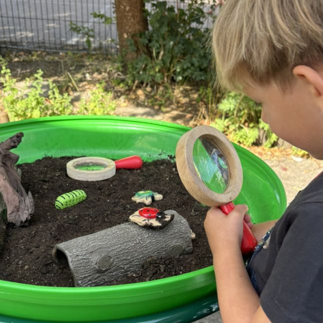Sensory Play Stones - Bugs 12 pieces