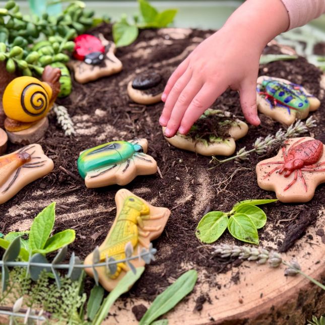 Sensory Play Stones - Bugs 12 pieces