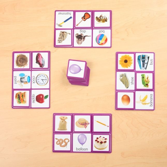 Picture Bingo - 4 boards 24 cards