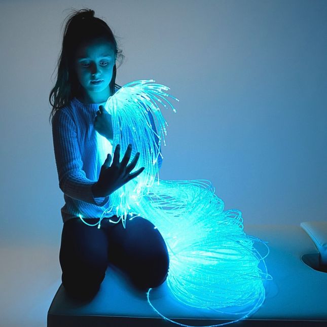 5ft Fiber Optic Light Source - 100 Strands