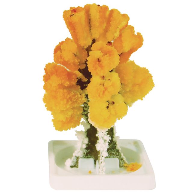 Steve Spangler Science® Magic Trees - Set Of 5