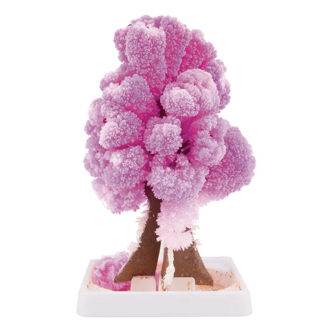 Steve Spangler Science® Magic Trees - Set Of 5