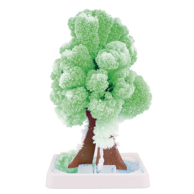 Steve Spangler Science® Magic Trees - Set Of 5