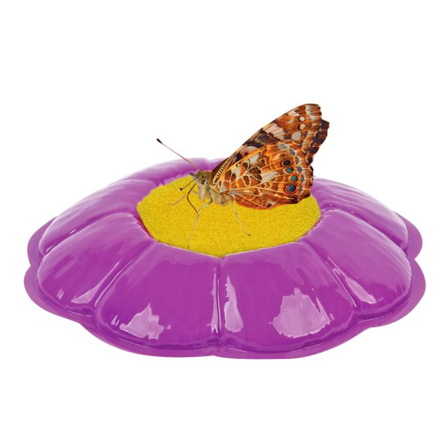 Insect Lore® Original Butterfly Garden - 1 set