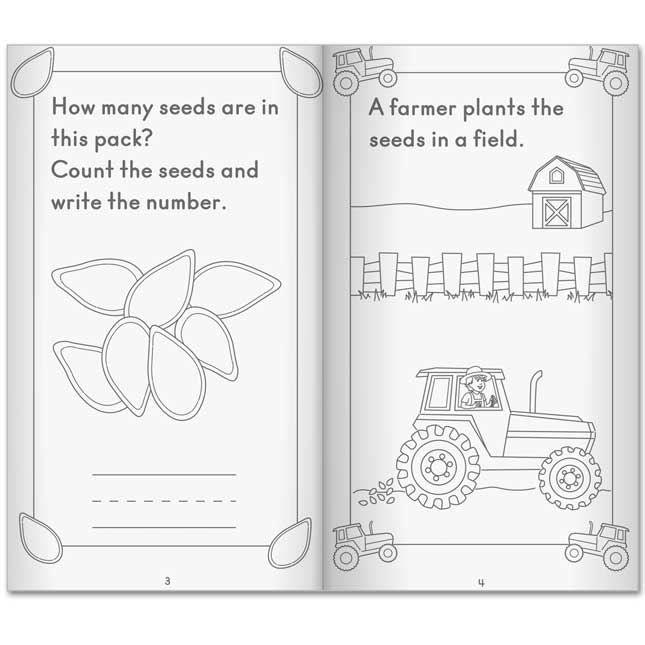 Life Cycle Of A Pumpkin Activity Books